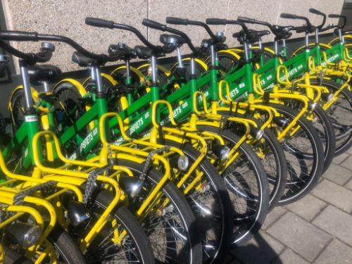Groen gele stadsfietsen staan klaar voor de deelnemers.